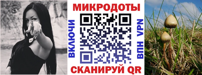 Галлюциногенные грибы GOLDEN TEACHER  Алушта 