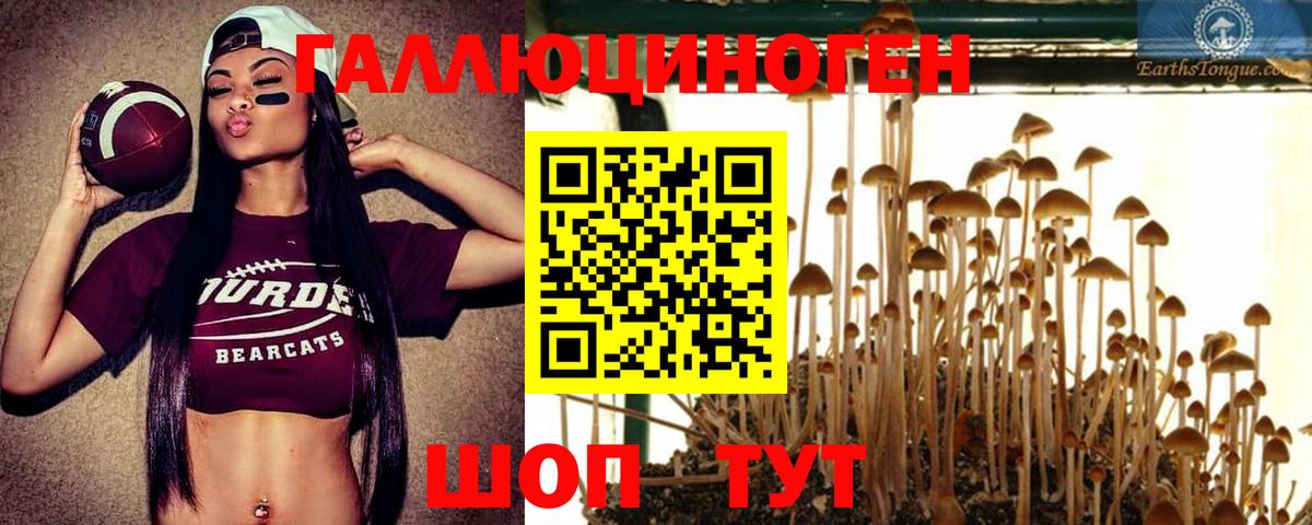Галлюциногенные грибы Psilocybe  Вход с VPN  Псилоцибиновые грибы мицелий  Алушта 