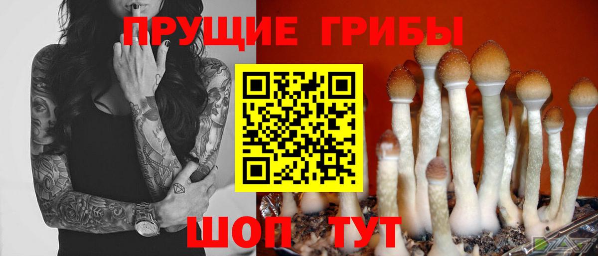 Алушта  Галлюциногенные грибы Magic Shrooms  Вход с VPN 